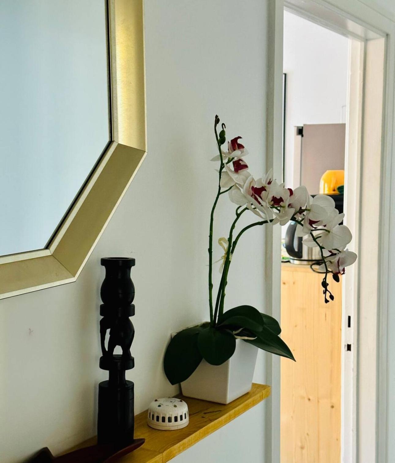 Apartment Self-check In Sunny & Charming Coimbra